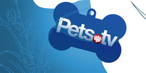 pets tv tv schedule